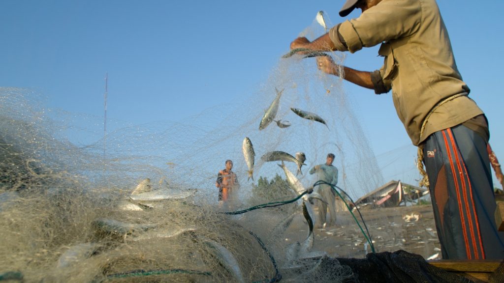 tisza tó halászat 2023